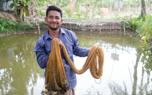 Net handling