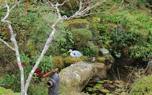 Pond habitat