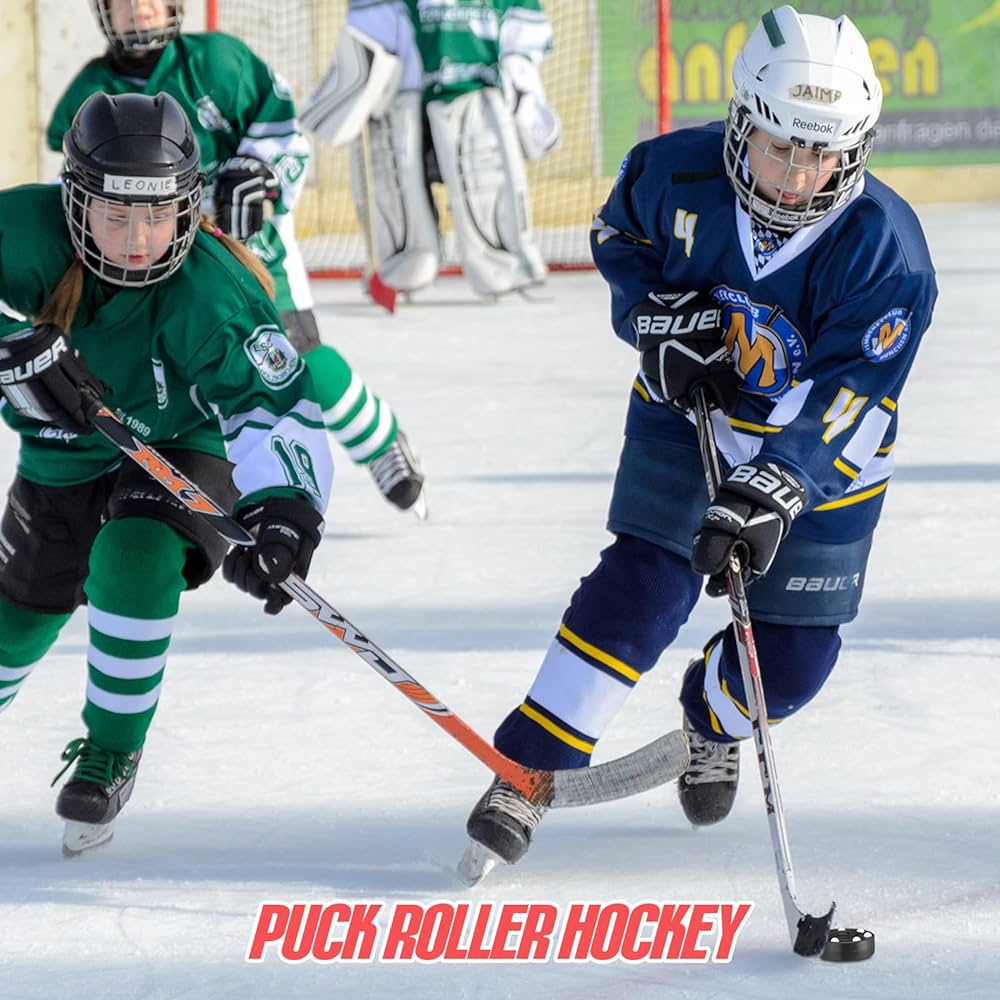 Roller Hockey, Puck Hockey