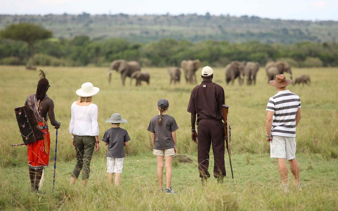 Safari Holidays