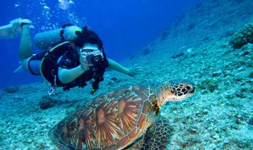 Diving masks