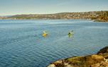 Group paddling
