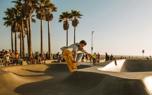 Skateboarding community