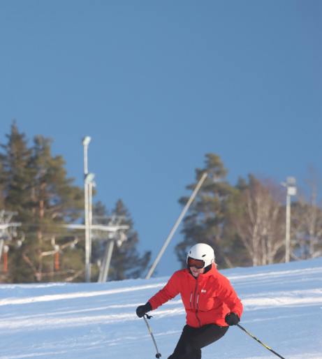 Skiing holidays overview