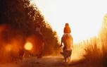 Training your dog or horse