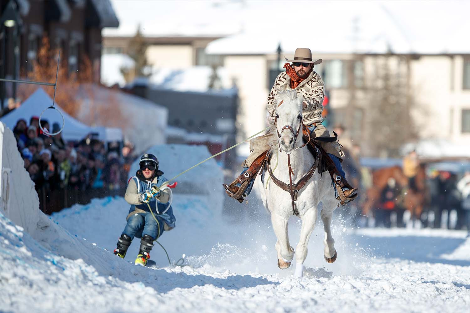 Skijoring with dogs, horses