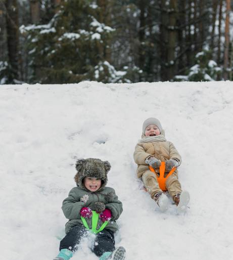 Sledges and Toboggans overview