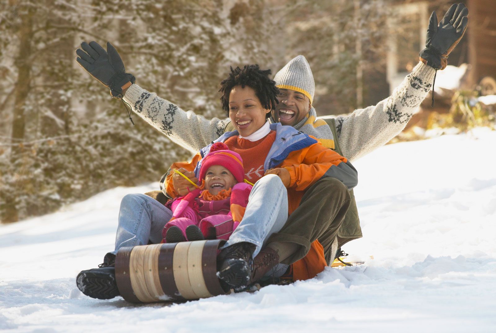 Sledges and toboggans