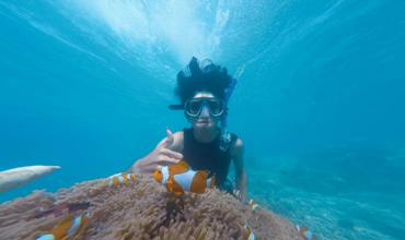 Snorkel types