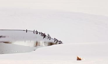 Snow Conditions