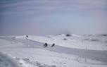 Winter Wonderland