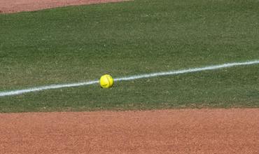 Softball bat
