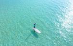 Paddling with pets