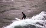 Board selection