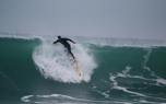 Surf travel