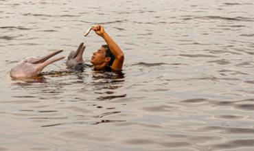 Shallow water encounters