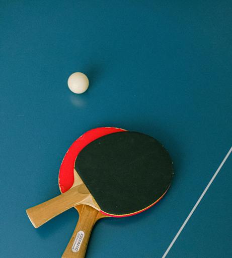 Table tennis overview
