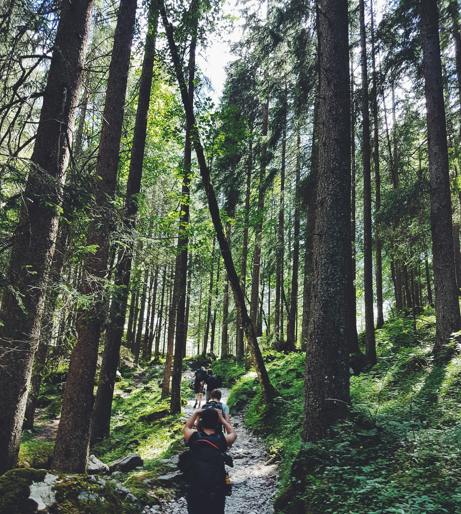Trail running overview
