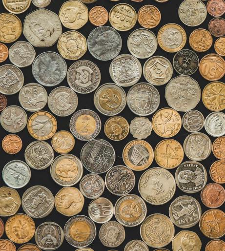 Treasure hunting with metal detector