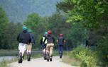 Freestyle unicycling