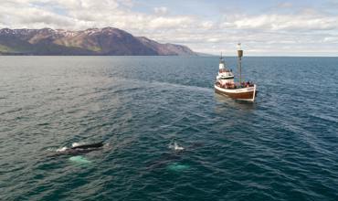 Boat tours