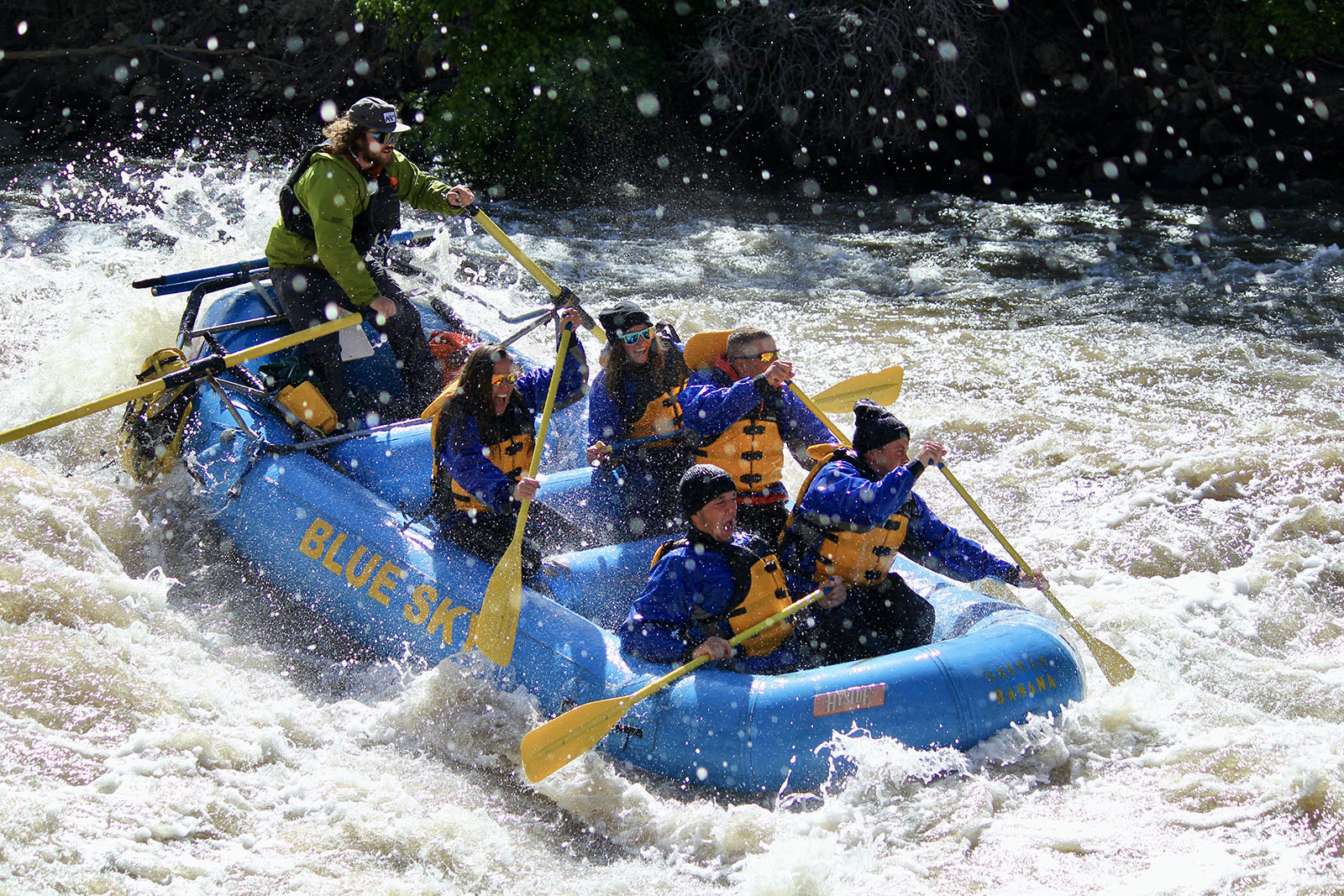 Whitewater Rafting Trips