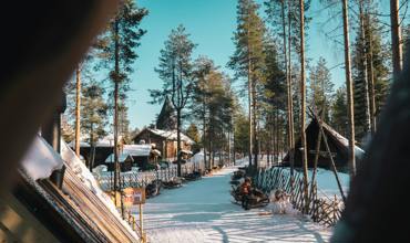 Skiing and snowboarding