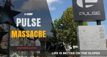 A-Camp Pulse Massacre: Remembering the Tragic Night of Hate and Loss