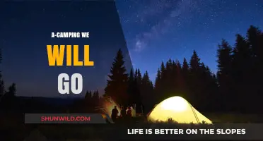 Under the Stars: Our Ultimate Camping Adventure Guide