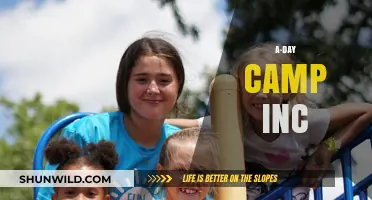 A-Day Camp Inc: Fun, Learning, and Adventure in One Day