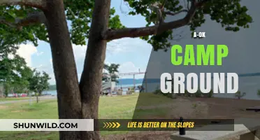 A-OK Camp Ground: Your Ultimate Outdoor Adventure Destination Guide