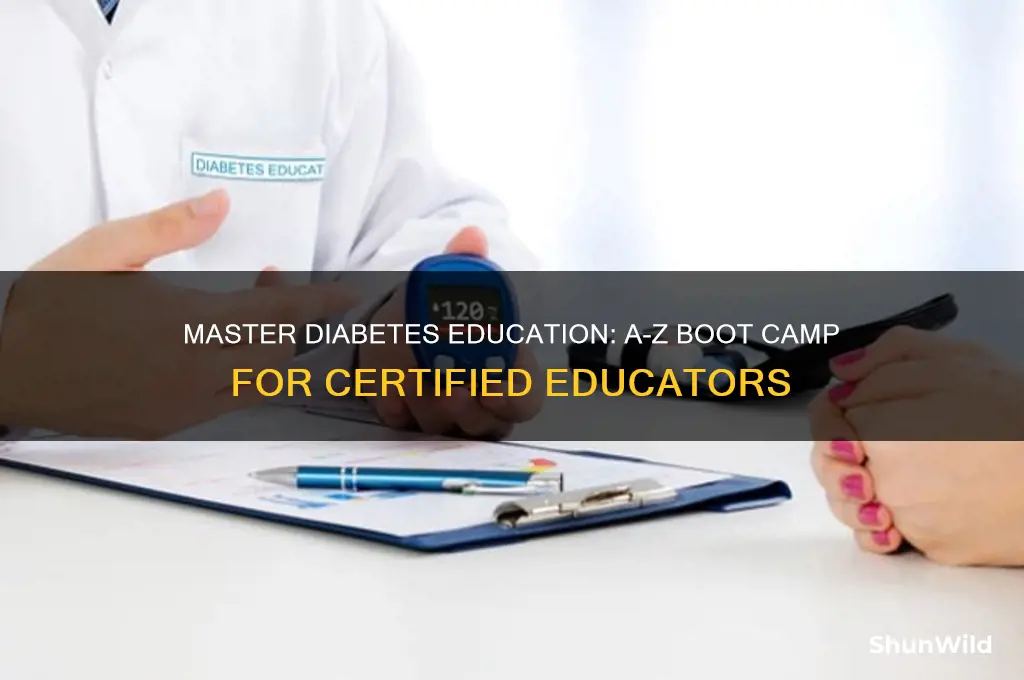 a-z diabetes educator boot camp