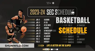 Basketball Schedule: AM Hoops Action