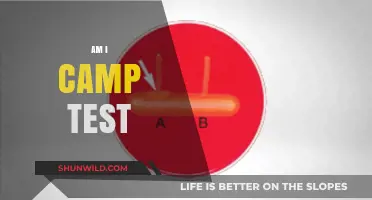 Am I Camp? Exploring the Test and Its Cultural Significance