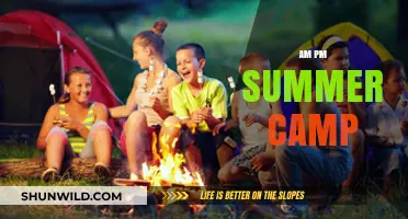 AM PM Summer Camp: Fun, Learning, and Adventure All Day Long