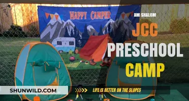 Am Shalom JCC Preschool Camp: Nurturing Young Minds Through Play and Learning