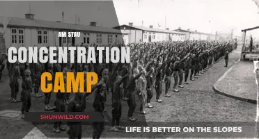 Unveiling the Dark History of Am Stau Concentration Camp