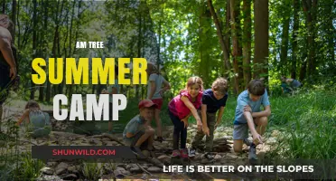 Am Tree Summer Camp: Adventure, Learning, and Fun in Nature
