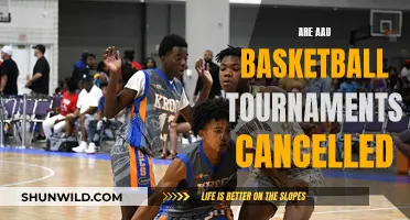 AAU Basketball Tournaments: Cancelled or Still On?