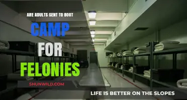 Adult Felony Boot Camps: Effective Rehabilitation or Legal Punishment?