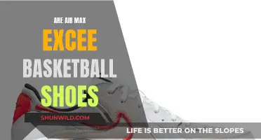 Air Max Excee: Basketball Shoes for the Win?