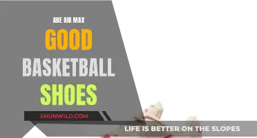 Air Max: Good for Basketball?