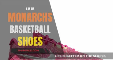 Monarchs: Basketball Shoes for the Court and the Street