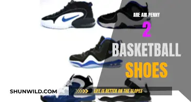 Penny Hardaway's Signature Shoe: Air Penny 2's