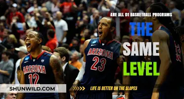 Basketball Dreams: Are All D1 Programs Equal?