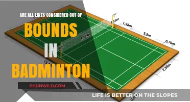 Badminton Court Lines: In or Out?