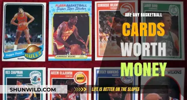 Basketball Cards: Which Ones Are Worth a Fortune?