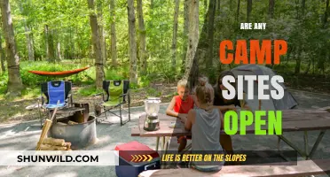 Are Campsites Open Near Me? A Guide to Current Availability
