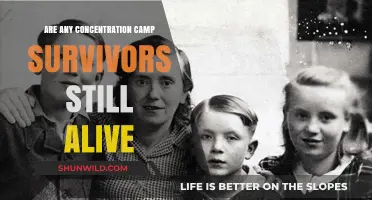 Surviving History: Are Concentration Camp Survivors Still Among Us?