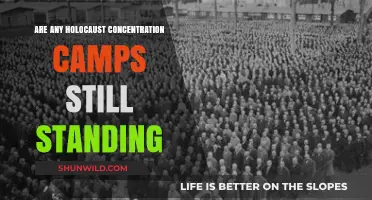 Holocaust Concentration Camps: Which Historic Sites Remain Standing Today?